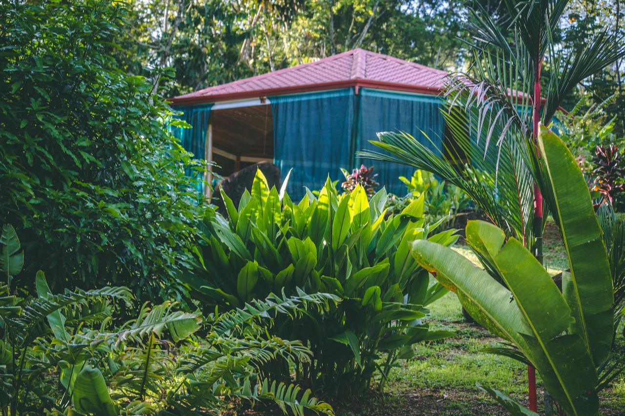 Bed and Breakfast Manoas Uvita Exterior foto